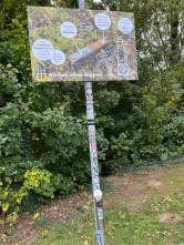 Zigarettenkippen sind giftig - nicht einfach wegwerfen