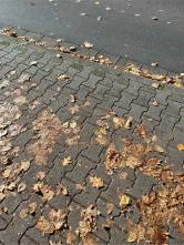 Rutschgefahr - Gehwegreinigung erforderlich
