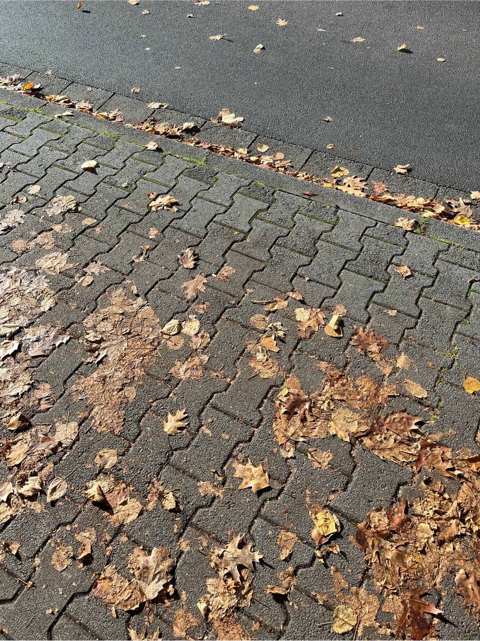 Anträge zur Sitzung der Stadtverordnetenversammlung am 7. November: Jeder kehre vor seiner eigenen Tür
