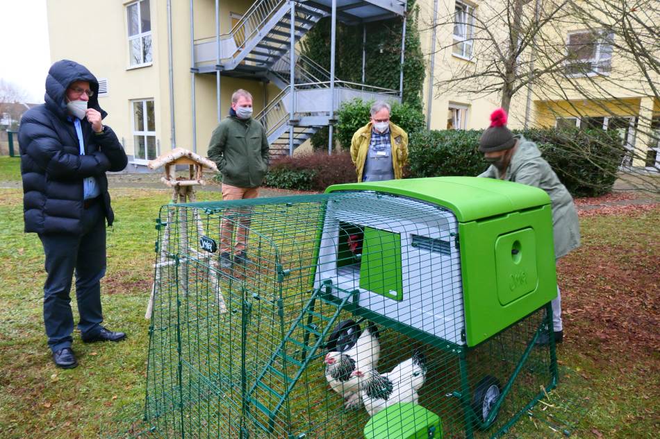 Das Bild zeigt den Einzug der Hühner. Weiter auf dem Bild zu sehen sind (von links nach rechts): Gernot Ruffing (Heimleiter ASB), Roderich Urban (SPD), Frank Demmer (Hausmeister ASB) und Christel Brinkmann (Hühner Okarben).