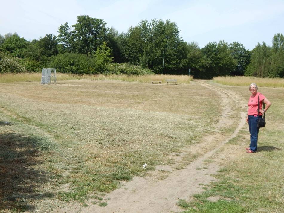 Über diese Wiese oder an deren Rand wäre ein Weg möglich Über diese Wiese oder an deren Rand wäre ein Weg möglich